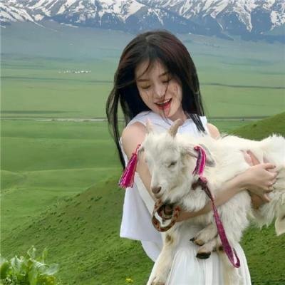 兔子陷阱